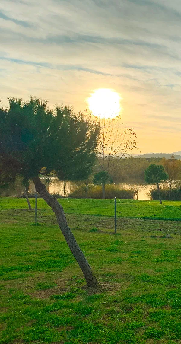 Visita el Parc dels Estanys