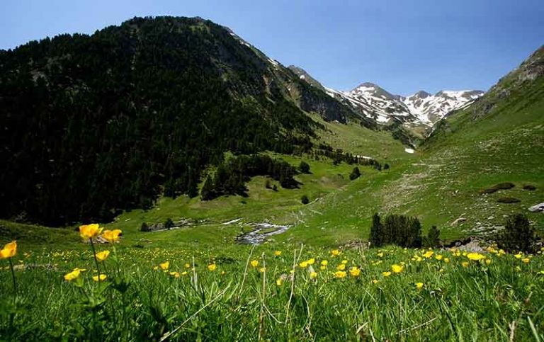 Que faire dans la Val d'Aran : 5 plans essentiels